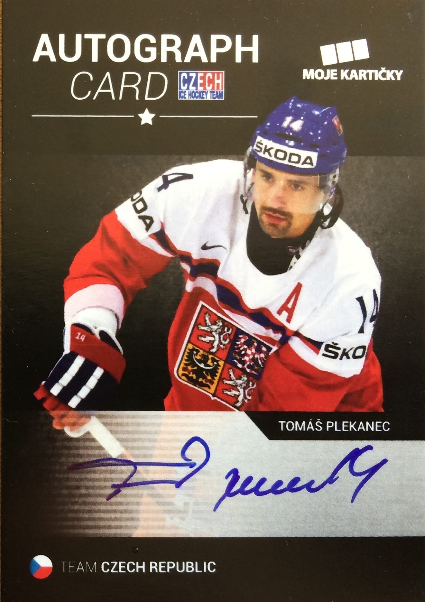 Plekanec