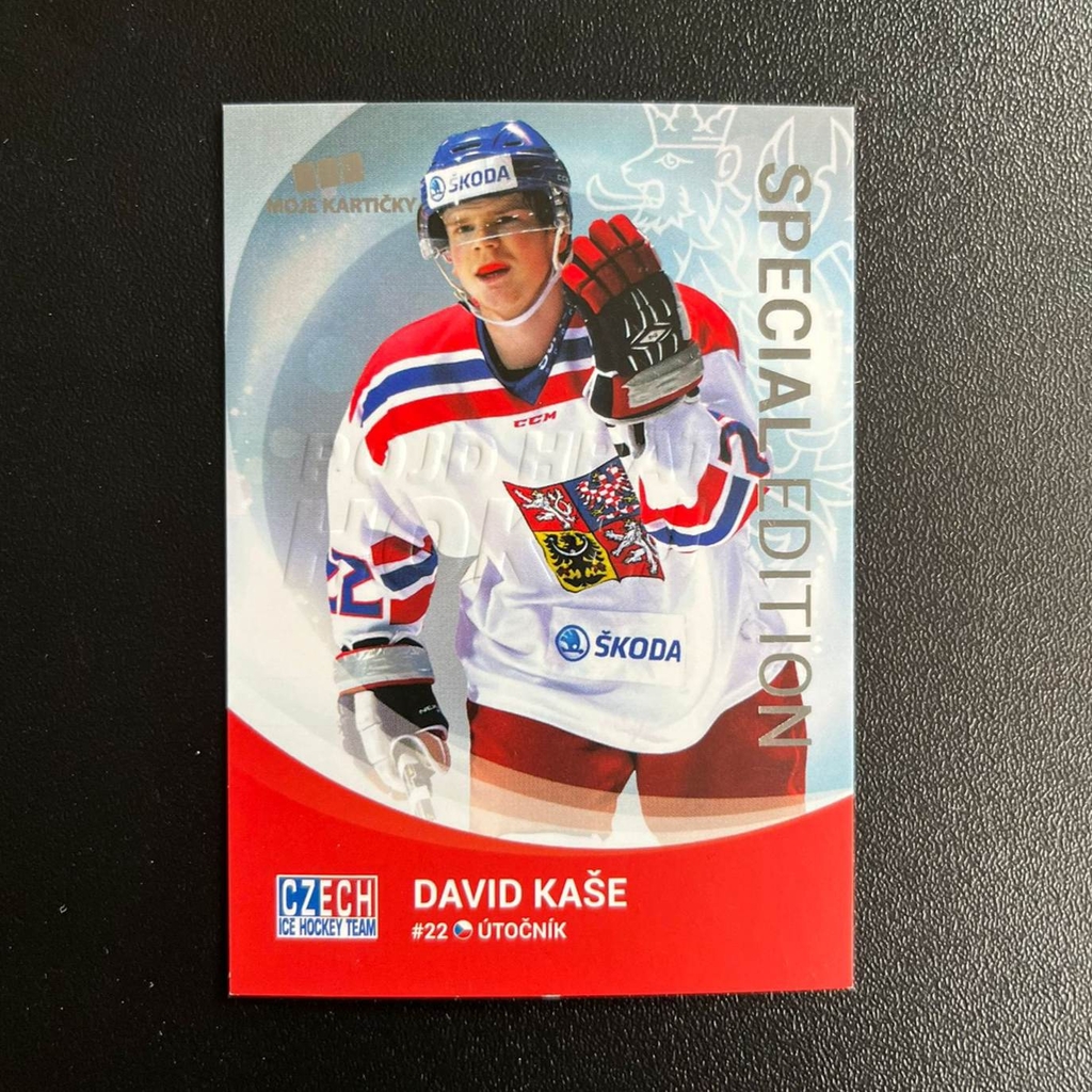 David Kaše 2017 MK Pojď Hrát Hokej
