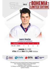 David Špaček 2023 Silver Medalists U20 - Bohemia Chips edition