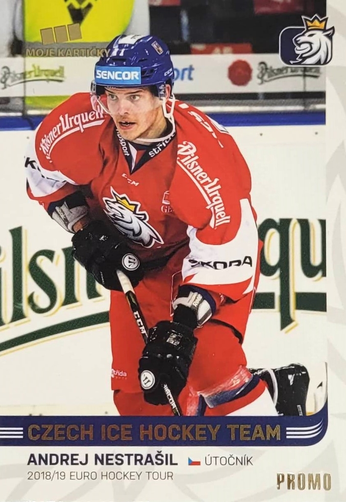 Andrej Nestrašil 2018/19 MK Paraler GOLD PROMO