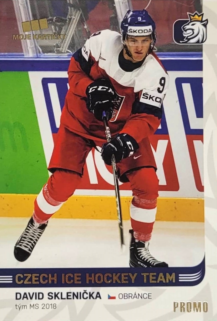 David Sklenčika 2018/19 MK Paraler GOLD PROMO