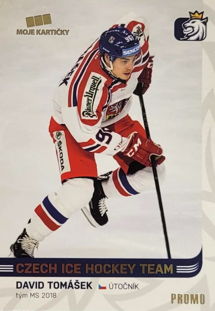 David Tomášek 2018/19 MK Paraler GOLD PROMO