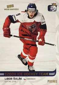 Libor Šulák 2018/19 MK Paraler GOLD PROMO