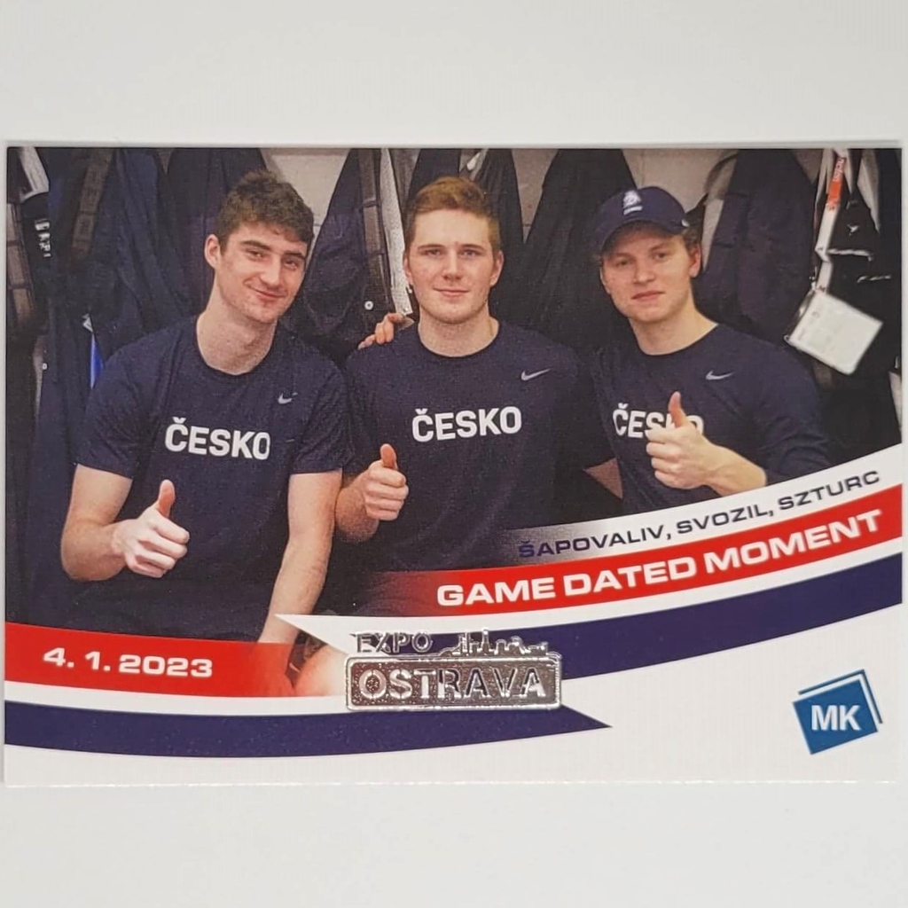 Šapovaliv Matyáš, Svozil Stanislav, Szturc Gabriel