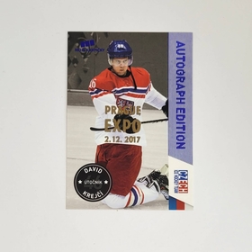 David Krejčí 2017 MK Prague EXPO