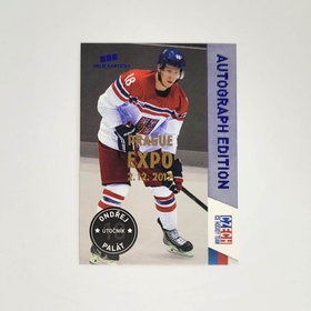 Ondřej Palát 2017 MK Prague EXPO