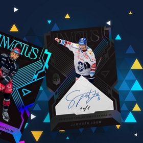 sport_zoo_exclusive_2024_25_9