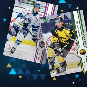 sport_zoo_exclusive_2024_25_4