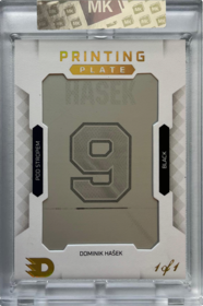HASEK_2