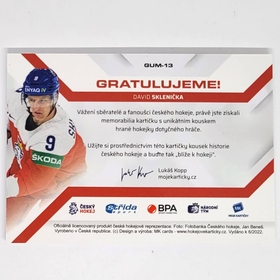 David Sklenička 2021/22 MK Národní tým Game used stick PROMO