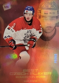 david-spacek-lic_2777