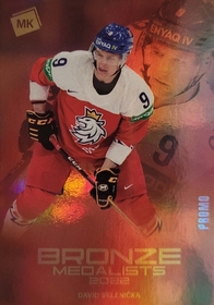 david-sklenicka-lic_2727