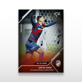 L-29 David Krcik 1 2048x2048