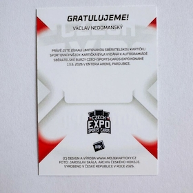 Expo Nedomanský 1