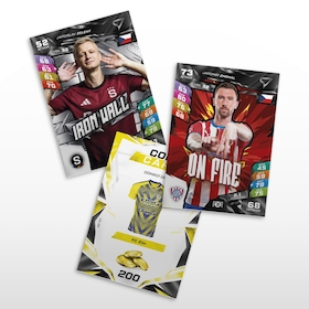ChLD RETAIL CARDS STORE