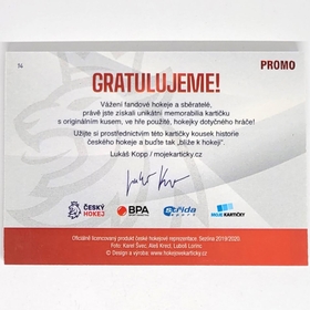 Pavel Francouz 2020 MK CZECH EXPO Game used stick - PROMO