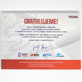 Petr Mrázek 2020 MK CZECH EXPO Game used stick - PROMO