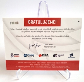 radim-zohorna-rub_548