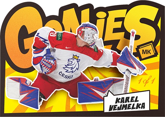 Goalies Karel Vejmelka 1of1